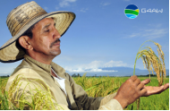 G4AW: GEODATA FOR AGRICULTURE AND WATER FACILITY